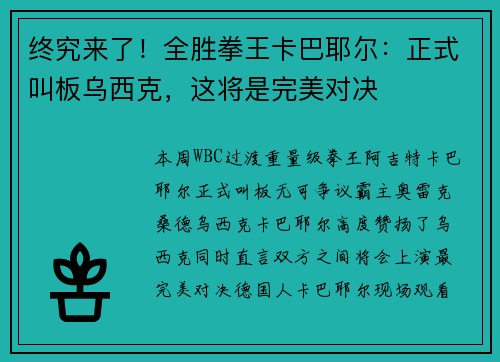 终究来了!全胜拳王卡巴耶尔:正式叫板乌西克,这将是完美对决 终究来了!全胜拳王卡巴耶尔:正式叫板乌西克,这将是完美对决